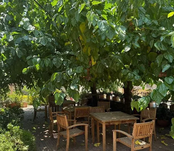 Aparthotel El D'ullastret 3*