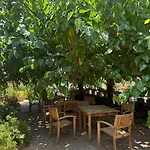 Apartahotel El D'ullastret 3*